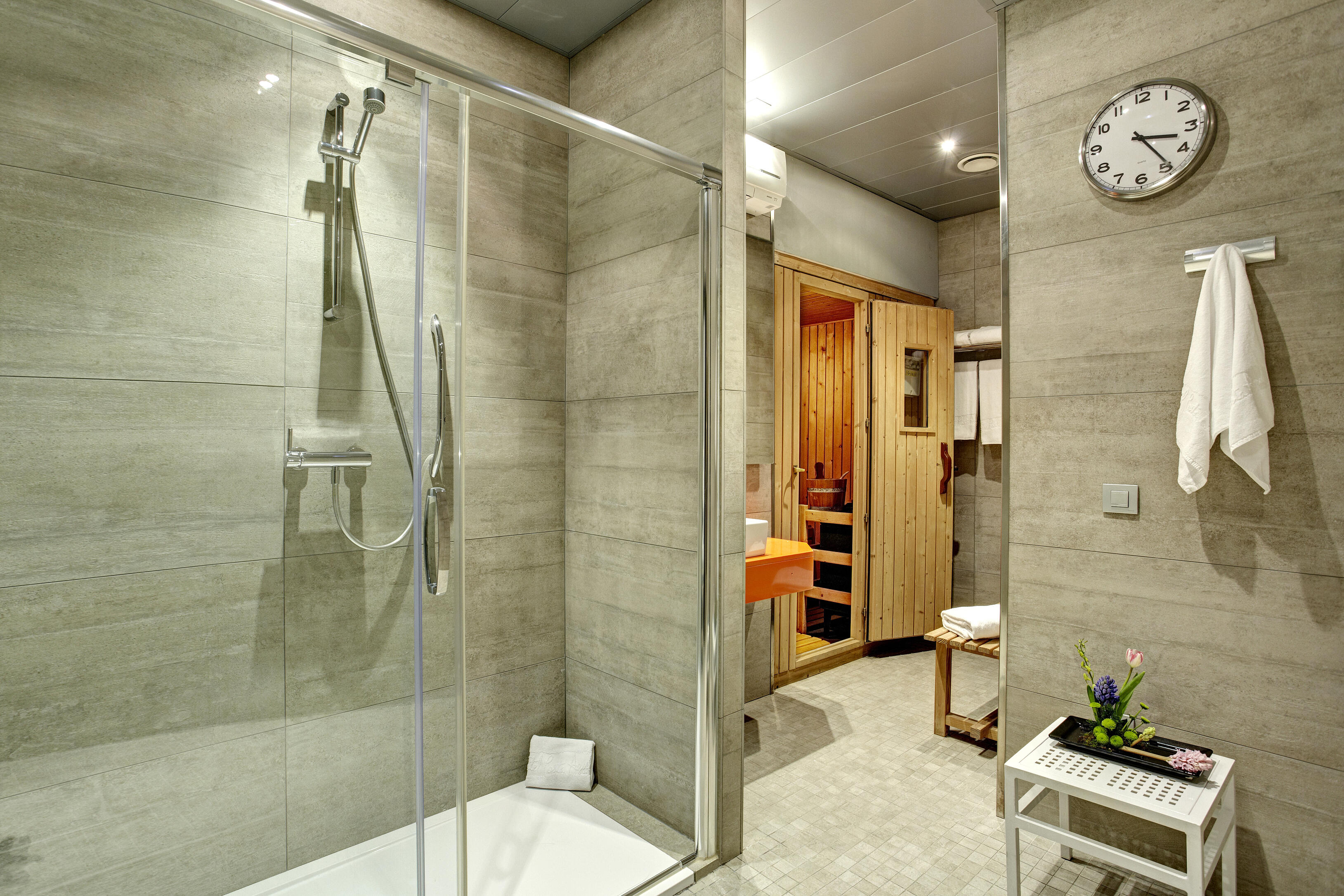 HCA-FO-20140521-SAUNA (1).jpg